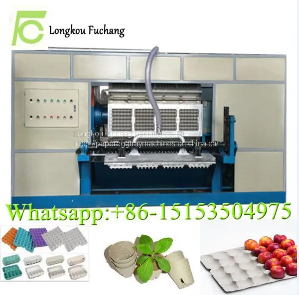 Eggs Cartons Making Machine Eggs Trays Machine Packaging for Quail Eggs Whatsapp:0086-15153504975 photo-5