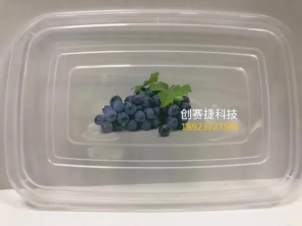 Shenzhen Disposable Food Box Marking Machine Disposable Food Box Marking Machine Chuang Saijie photo-4