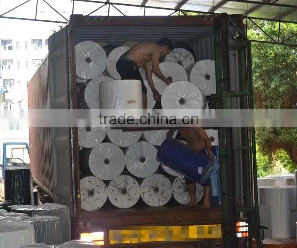 Plain & Cross Spunlace Nonwoven Fabric photo-6