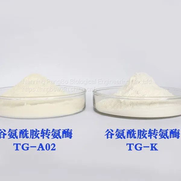 Transglutaminase CAS：80146-85-6 Food Grade Meat Glue photo-2