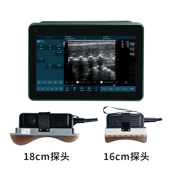 Veterinary Color Doppler Ultrasound for Animale BXL-DZ20 photo-3