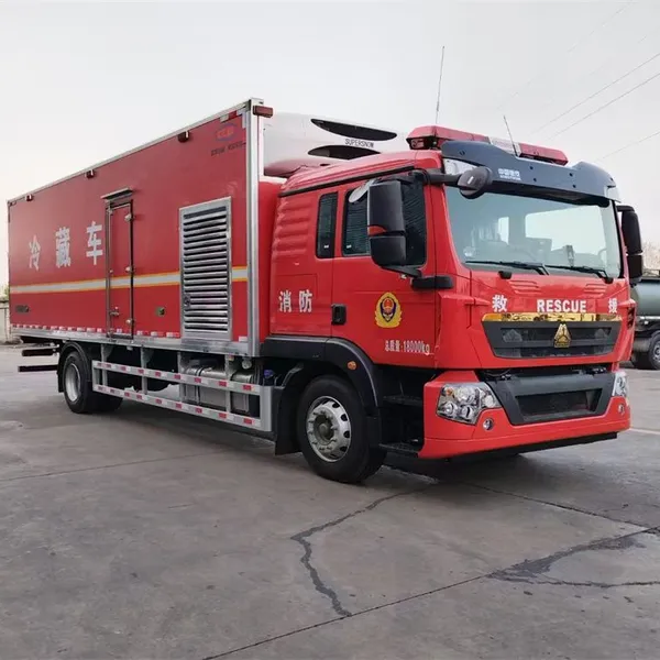 Export Heavy-duty HOWO Refrigerated Truck, 7.2 Meters Long, With a 250 HP Diesel Engine, Container photo-2