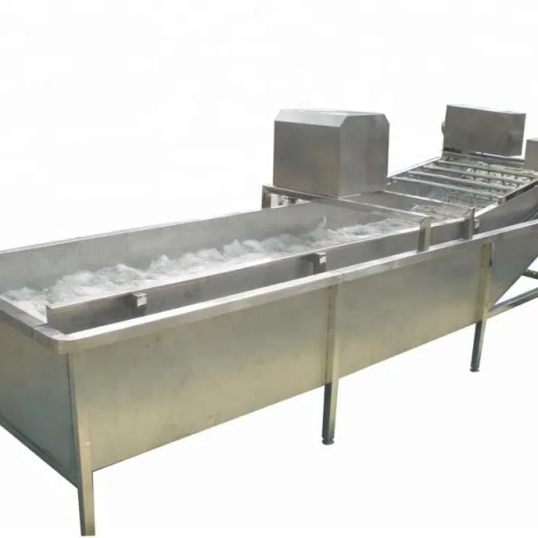 Automatic High Pressure Washer/commercial Fruit Vegetable Washer/leafy Vegetable Washing Machine Prices photo-3