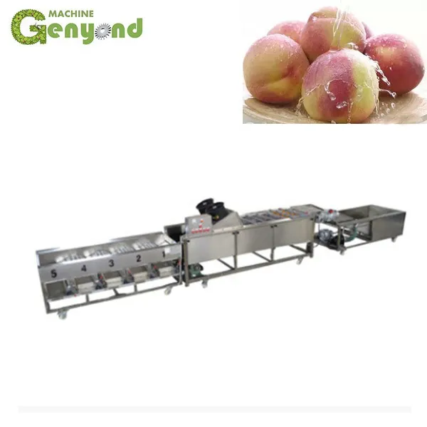 Orange/lemon Fruit Washing Waxing Drying Sorting Machinery/production Line photo-4