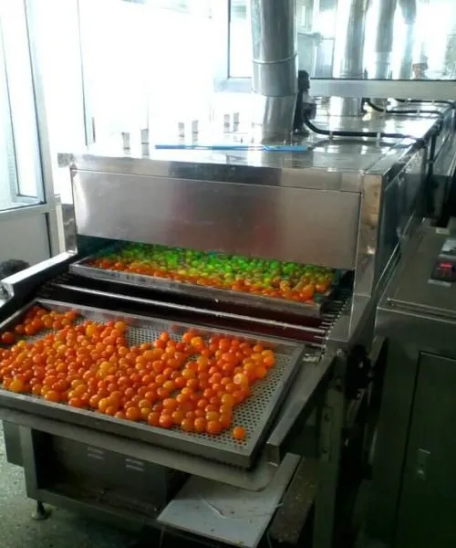 Egg Powder Processing Egg Yolk Drying Machine photo-3