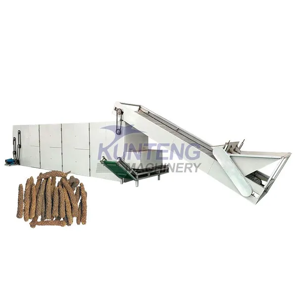 Industrial Continuous Yam Grape Orange Slices Mulberries Peppers Rehmannia Glutinosa Mesh Belt Dryer