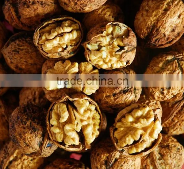 Latest 300-500kg/h Walnut Shell Cracking Machine photo-6