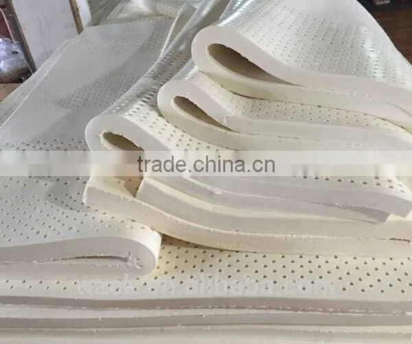 Monozone Latex Mattress