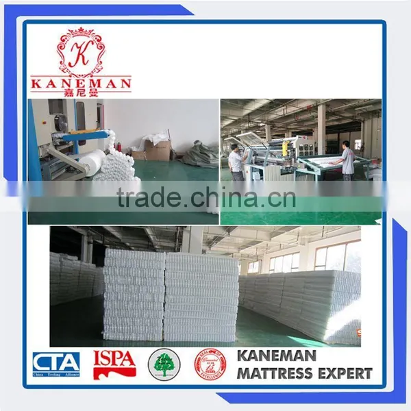 Funiture Bedroom Furniture 8 Inch Tight Top Mattress Sleep Well Thick Pocket Coil Mattress photo-6