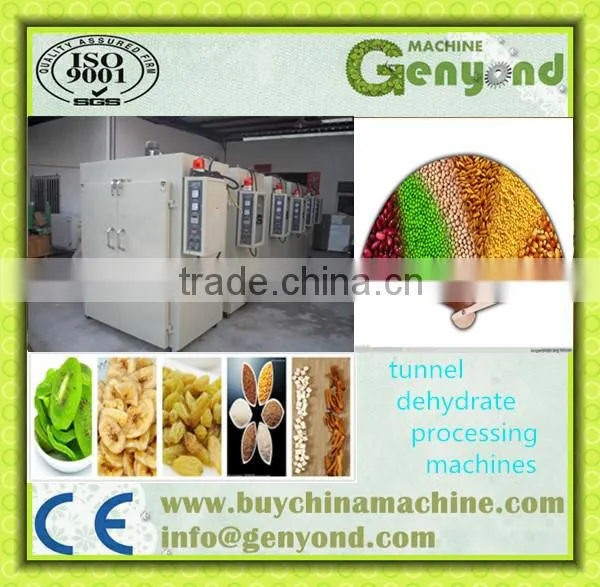 Beef Jerky Drying Machine