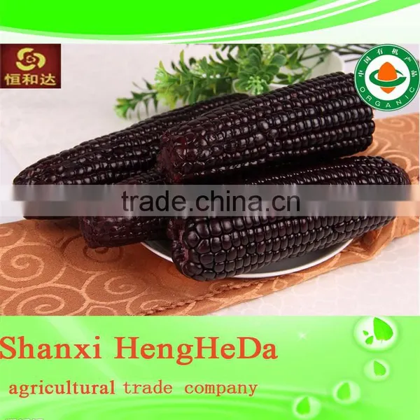 National Flag Perfect Corn photo-2