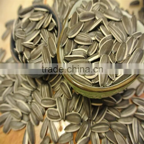 Sunflower Seeds for Oil 5009 3939 Health Product China photo-3