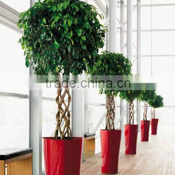 Whole Style Street Landscaping Artificial Tree photo-4