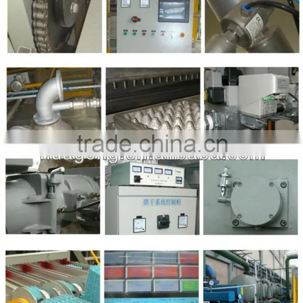 Disposable Paper Dish Pulp Molding Machine by HGHY photo-3