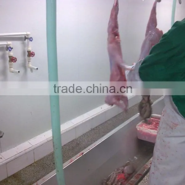 Rabbit Processing Plants photo-4