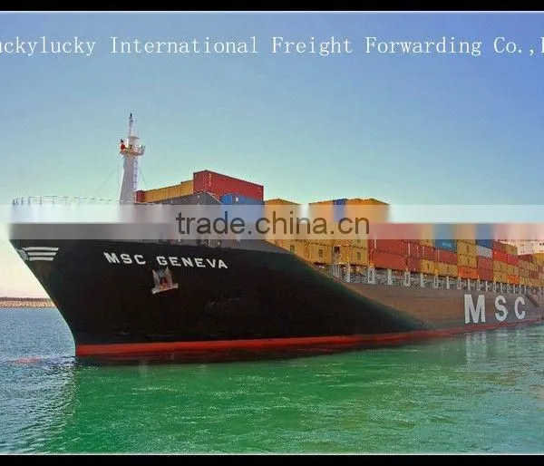 Freight Forwarder to USA From Shenzhen Shanghai Ningbo Guangzhou Xiamen Qingdao photo-2