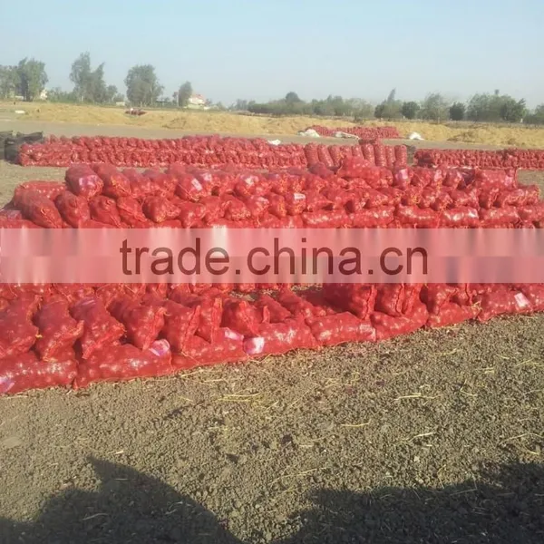 Fresh (RED ,Yellow , White ) ONION photo-6