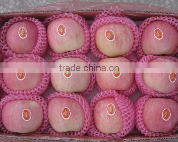 2016 New Crop Yantai Fresh Fuji Apple With 4kg Carton 10kg Carton 18kg Carton