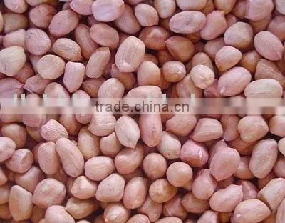 peanut kernel