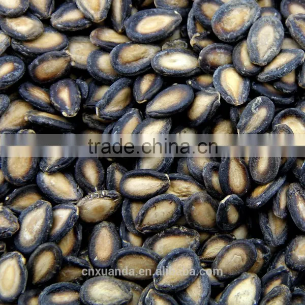 High Quality Watermelon Seeds in Shell photo-3