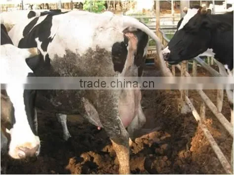 Fertilizer,manure photo-5