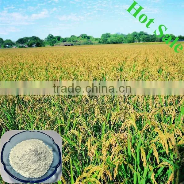 Zinc Sulphate Granular / Powder photo-3