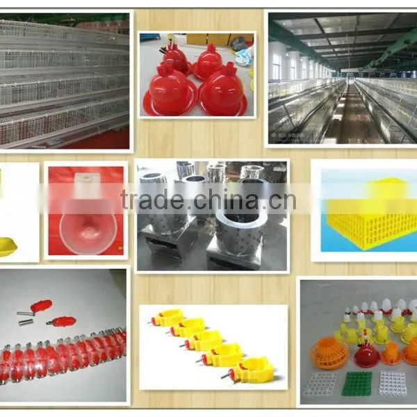 All Kinds of Poultry Drinker, Plucker, Incubator, Transport Cage, Wire Cage in Our Factory