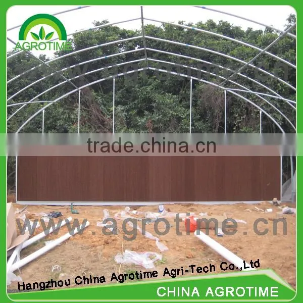 Poly Greenhouse for Agriculture photo-2