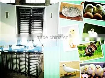 egg incubator temperature humidity controller