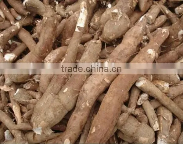 we Supply Big Capacity Cassava Peeling Machine +8618637188608 photo-4