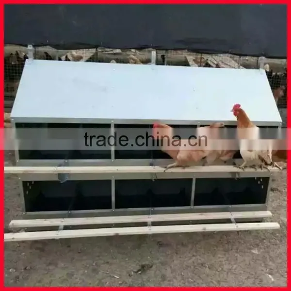Poultry Farm Automatic Chicken Nest Boxes Sale/Chicken Egg Laying Nests/Egg Laying Nest photo-6