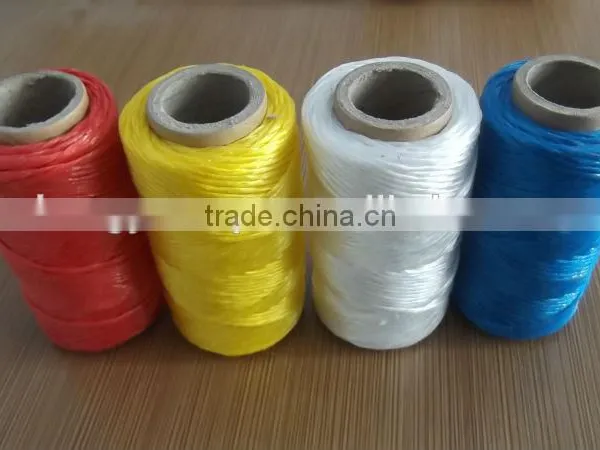 Colored pp Garden Twine With Competitive Price photo-2