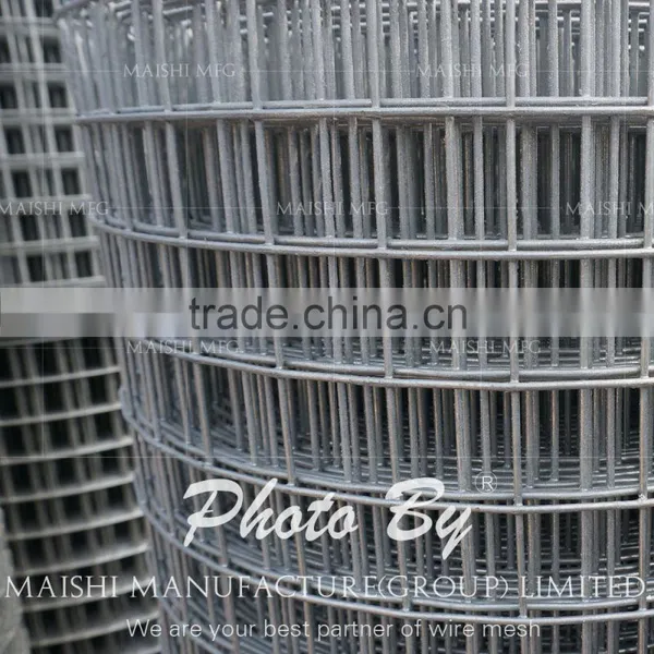 Welded Wire Mesh for Construction Building photo-4
