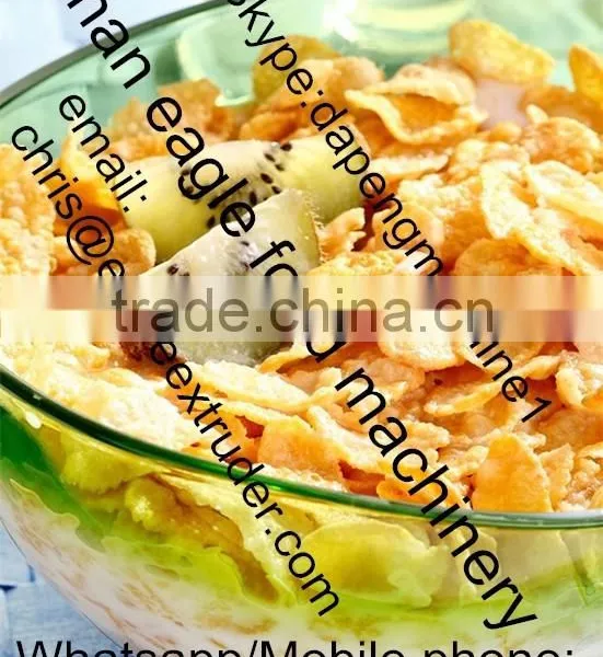 Double Screw Extruder Cereal photo-2