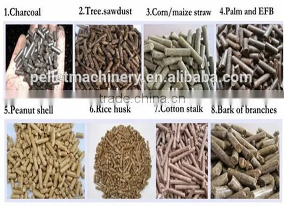Oak Wood Sawdust Pellet Press Machine photo-3