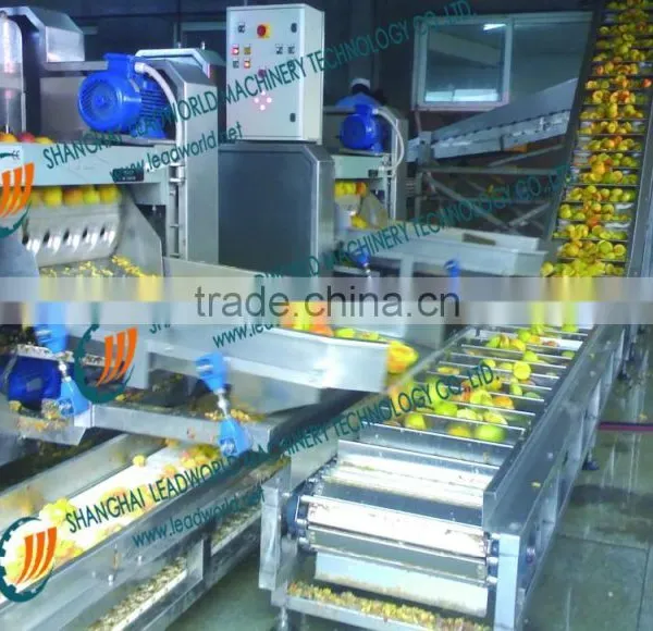 Vegetable Fruit Canned Food Canning Production Line photo-5