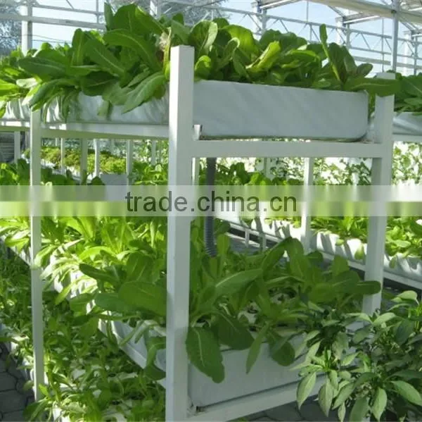 Agricultural Greenhouses Type Commercial Hydroponics Greenhouse photo-4