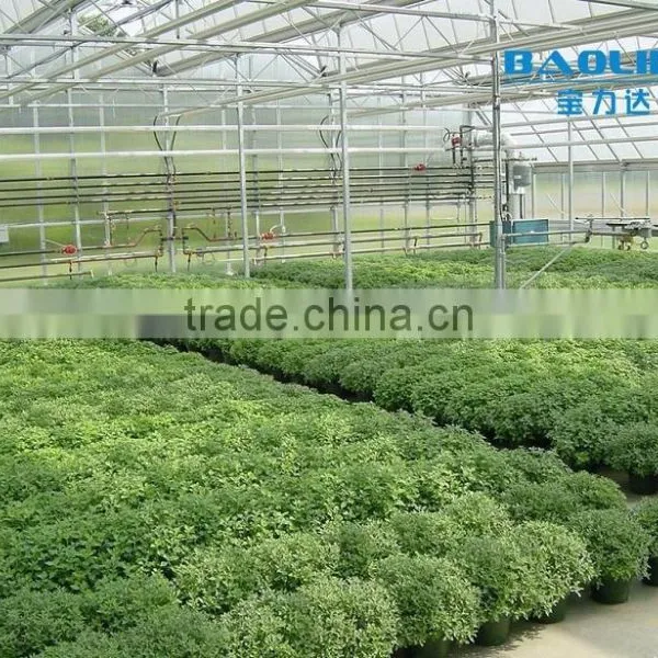 BLD Large Multi-span PE Greenhouse for Fruits photo-2