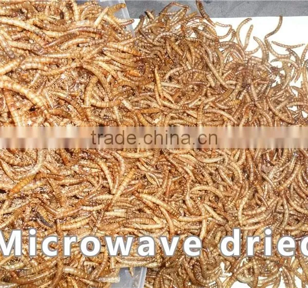 Fish Attractant Mealworm Animal Feed, Organic Bird Feed Mealworm photo-3