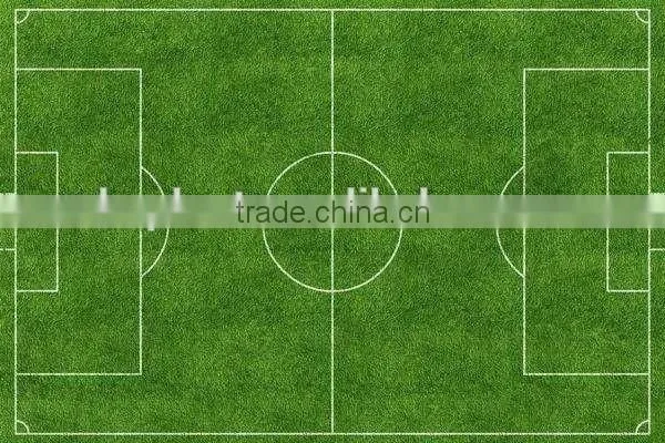 Hot Sale Sport Turfed Artificial Field Grass photo-3