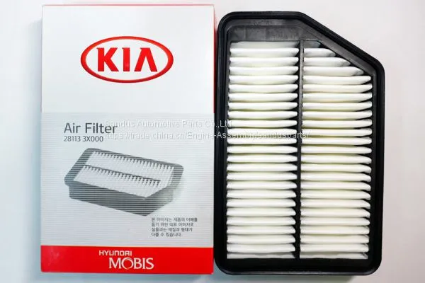 Diesel Engine Parts Air Filter for KIA&Hyundai 28113 3X000 photo-3