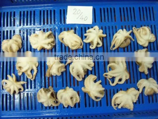 Frozen Octopus Whole Cleaned photo-2