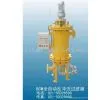 Automatic Backwashing Filter
