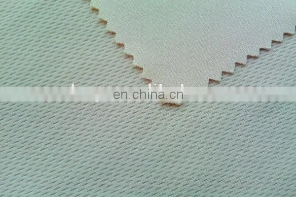 Winfar Textile Knit New Design Solid Dyed Uruguay Birdeye Polyester Mesh Fabric photo-3