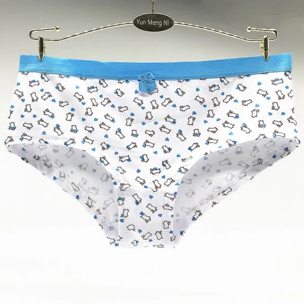 Yun Meng Ni Sexy Underwear Fancy Cartoon Print Girls Briefs Good Elasticity Colorful Waistband Sexy Cotton Panty photo-5