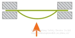 Rupture Disc Device,bursting Disc, photo-2