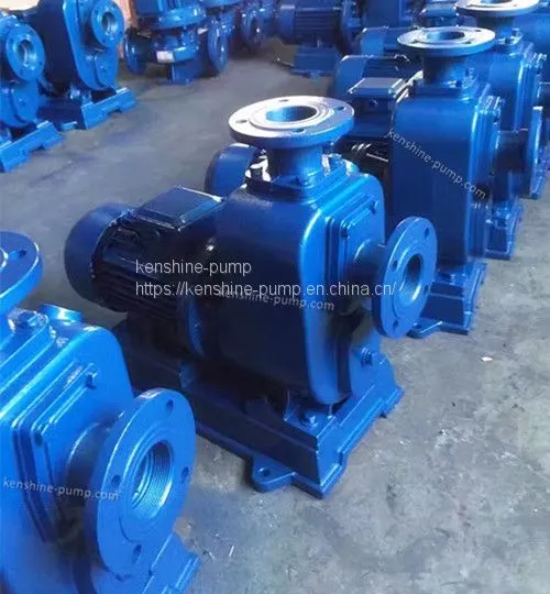 PW,PWF Horizontal Sewage Pump photo-2