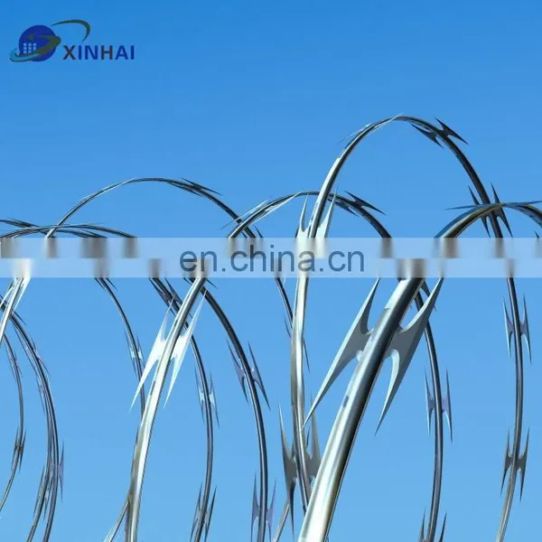Barbed Wire photo-5
