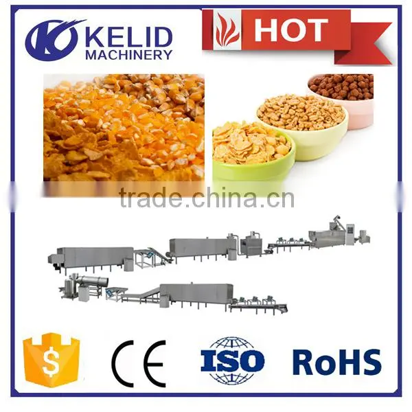 Overseas Engineers to Service CE Certification Corn Flakes Manufacturing Plant photo-2