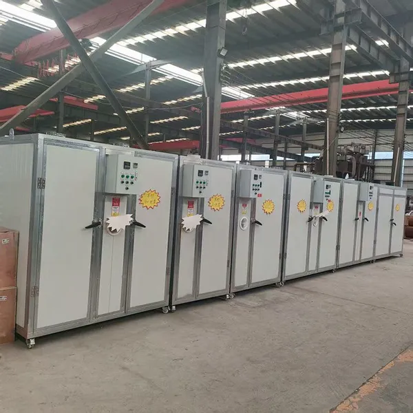 220V Industrial Food Drying Chamber for Fruits & Vegetables With 10kW Heating System photo-4